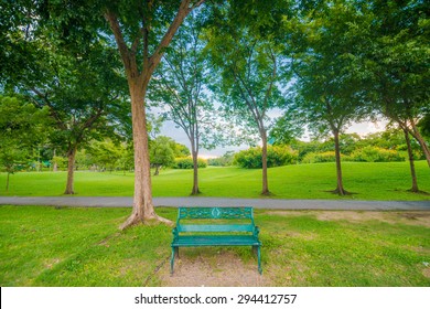 Empty bench in green park and sky with sun light, Green park outdoor