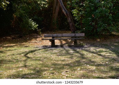 empty bench park