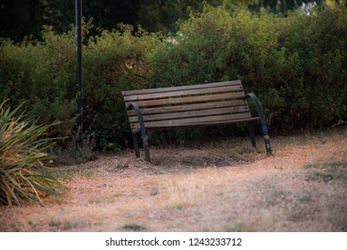 empty bench park