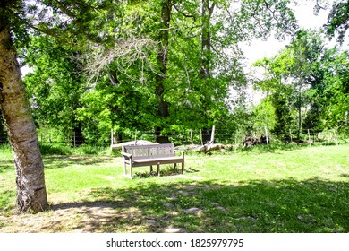 Empty Bench in the Park