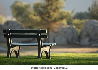 An Empty Bench At The Park.