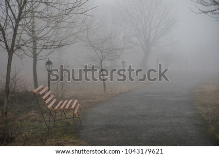 Empty bench at park near pond by foggy day, minimalistic cold season scene. bench at the lake in the fog in the forest. Bench near lake with fog. Azerbaijan Nature. Caucasus