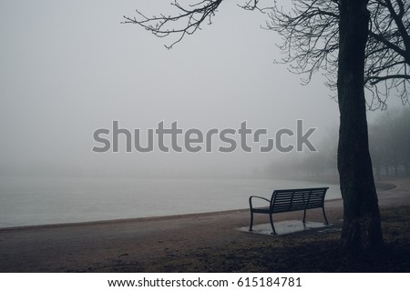 Empty bench at park near pond by foggy day, minimalistic cold season scene
