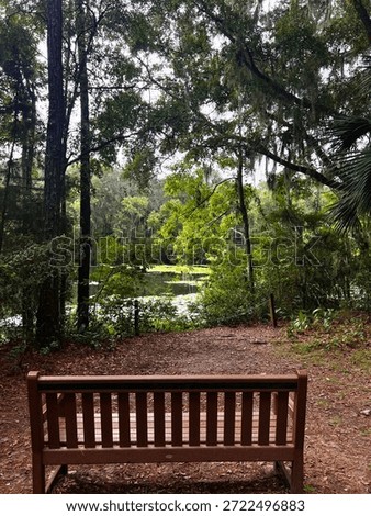 Empty bench ready to be occupied 