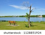 Empty bench  and a tree facing a lake