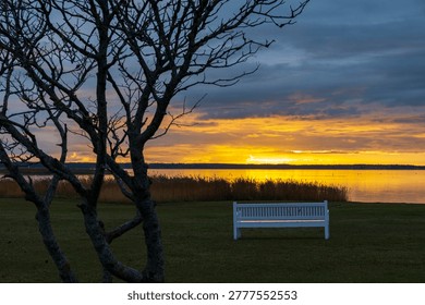Empty bench under tree overlooking calm sea at sunset. Peaceful place for rest and contemplation.