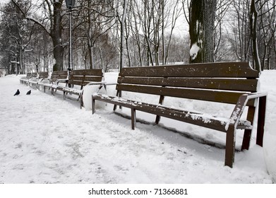 Empty Bench In Winter Park In The Moscow