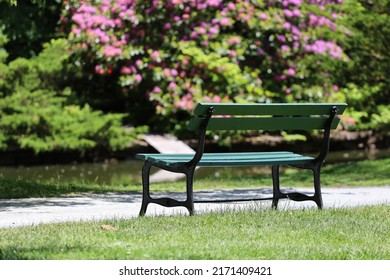 Empty benches on a sunny day in Halifax public gardens, no people.