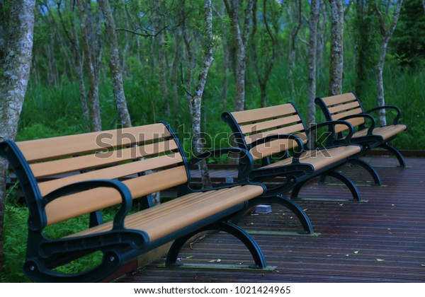 Empty Benches Sitting On Wooden Deck Stock Photo Edit Now 1021424965