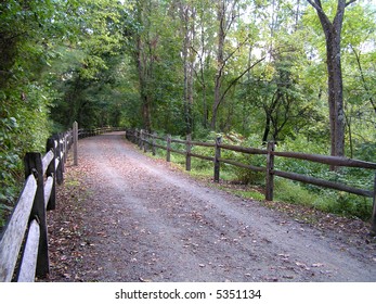 Empty Bike Path On A Summer Day