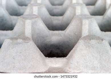 An Empty Biodegradable Molded Pulp Fiber Egg Carton Tray.