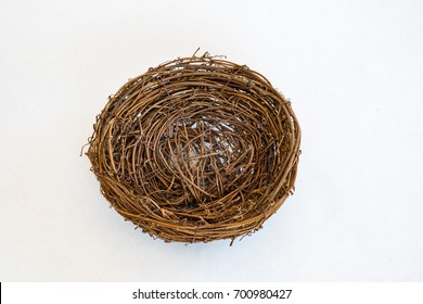 Empty Birds Nest Symbolizing Empty Nester Concept