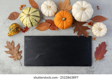 Empty black slate board and variety of fresh harvesting edible raw pumpkin with autumn fall leaves on grey gray stone table background. Happy Thanksgiving card with copy space. Seasonal vegetable. - Powered by Shutterstock