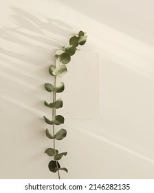 Empty Blank texture canvas paper card and eucalyptus leaf branch with copy space for your text message. Light and shadows minimalism style template background. Flat lay, top view.