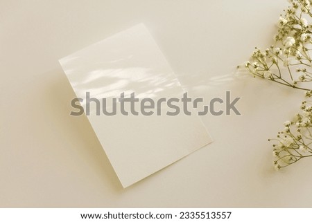 Empty Blank texture canvas paper card with copy space for your text message and flower. Light and shadows minimalism style template background. Top view. Beige color tone.