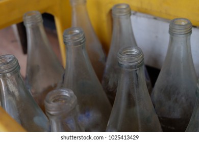 empty bottlenoses in the box