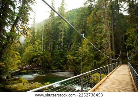 Empty bridge hovering over the Skokomish River along the Staircase Loop during the autumn season in the Pacific Northwest, Washington, United States.