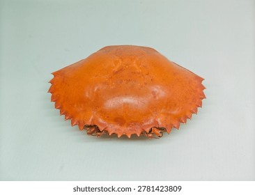 Empty bright orange crab shell isolated on white background, detailed crustacean exoskeleton with symmetrical shape and studio lighting.