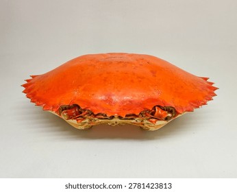 Empty bright orange crab shell isolated on white background, detailed crustacean exoskeleton with symmetrical shape and studio lighting.