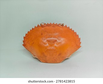 Empty bright orange crab shell isolated on white background, detailed crustacean exoskeleton with symmetrical shape and studio lighting.