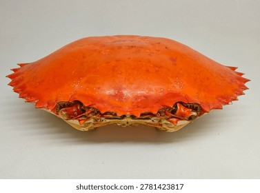 Empty bright orange crab shell isolated on white background, detailed crustacean exoskeleton with symmetrical shape and studio lighting.