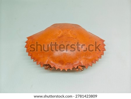 Empty bright orange crab shell isolated on white background, detailed crustacean exoskeleton with symmetrical shape and studio lighting.