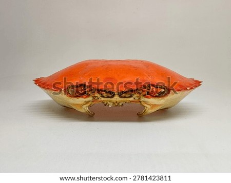 Empty bright orange crab shell isolated on white background, detailed crustacean exoskeleton with symmetrical shape and studio lighting.