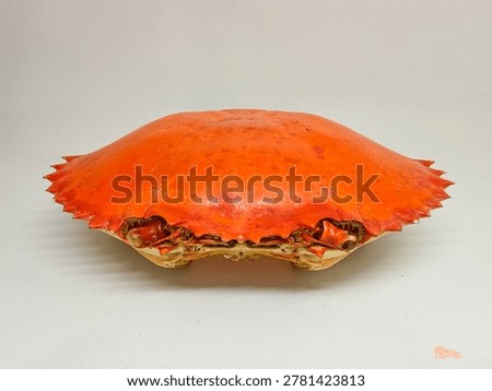 Empty bright orange crab shell isolated on white background, detailed crustacean exoskeleton with symmetrical shape and studio lighting.