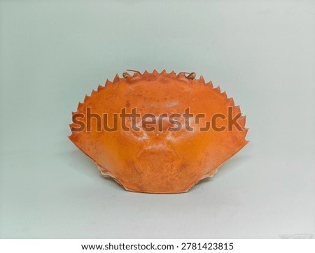 Empty bright orange crab shell isolated on white background, detailed crustacean exoskeleton with symmetrical shape and studio lighting.