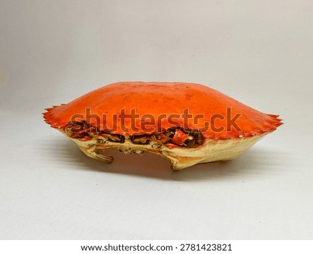 Empty bright orange crab shell isolated on white background, detailed crustacean exoskeleton with symmetrical shape and studio lighting.