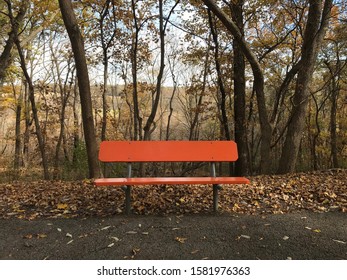 Empty Bright Orange Park Bench On Paved Walking Hiking Running Trail In Autumn Fall Forest