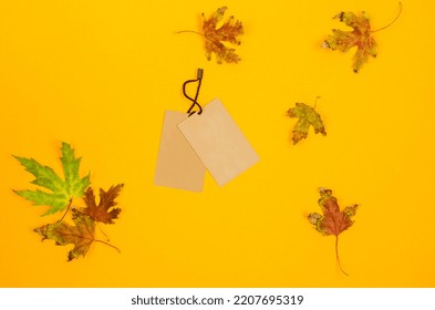 Empty Brown Cardboard Tag With String And Fall Leaves On Yellow Background. Vintage Paper Textured Tag. Mockup Cardboard Label. Price Tag, Sale Tag, Address Label. Shopping Or Autumn Sale Concept. 