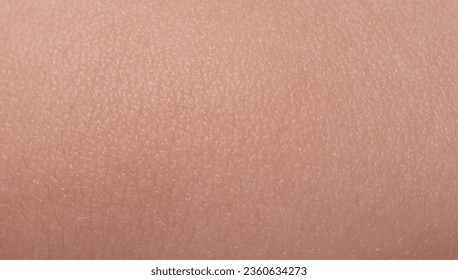 Empty brown color skin background macro close up view