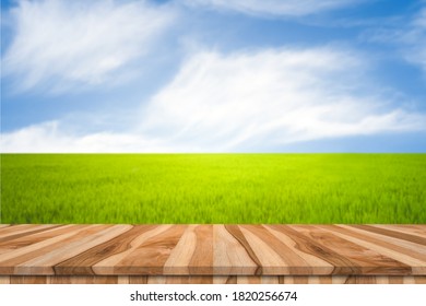 Empty Brown Wooden Table With Rice Field And Blue Sky