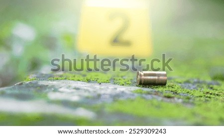 Empty bullet casing on a mossy surface, with a blurred black number 2 in the background, evoking the concept of crime scene investigation and unraveling mysteries.