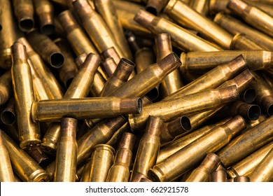 Empty Bullet Shells