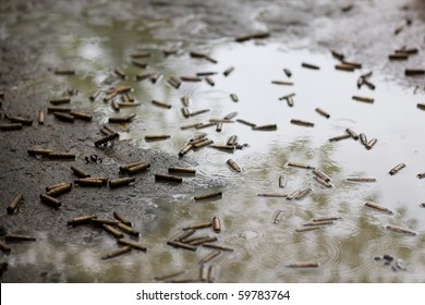 Empty Bullet Shells In Mud