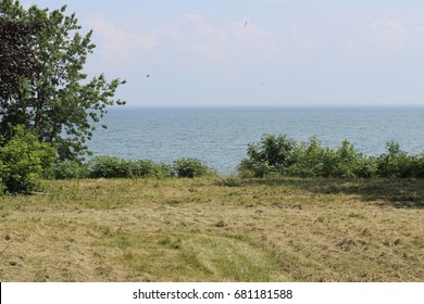 Empty Lot By The Lake