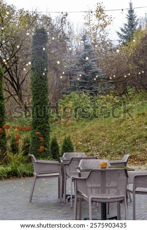 An empty cafe square with a few tables and chairs set in a green park with decorative trees and a string of lights stretched overhead.