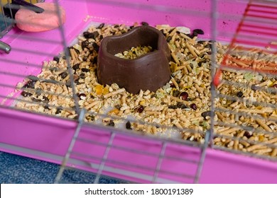 An Empty Cage For A Pet Rodent. The Cage Is Dirty, There Is A Lot Of Droppings, There Is A Feeder.