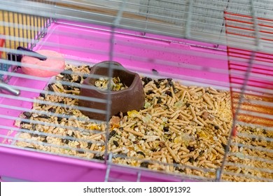 An Empty Cage For A Pet Rodent. The Cage Is Dirty, There Is A Lot Of Droppings, There Is A Feeder.