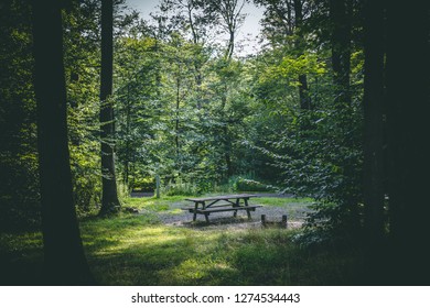 Empty Camp Site