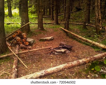 Empty camp stop with fireplace in deep forest
