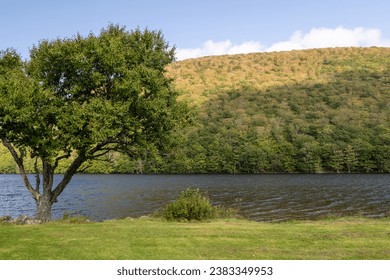An empty campsite next to a river with a lush yellow and green colored hillside of trees. The sky is blue with clouds. There's a grass-covered park campground with no people next to the water. 