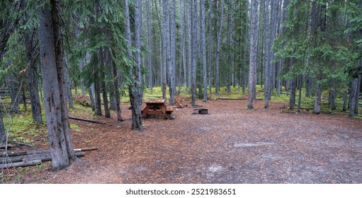 An empty campsite with a picnic table and fire ring set in a dense forest of evergreen trees. Taken in Banff National Park.
