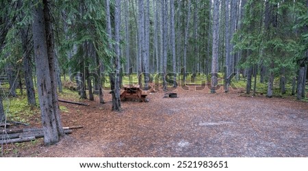 An empty campsite with a picnic table and fire ring set in a dense forest of evergreen trees. Taken in Banff National Park.
