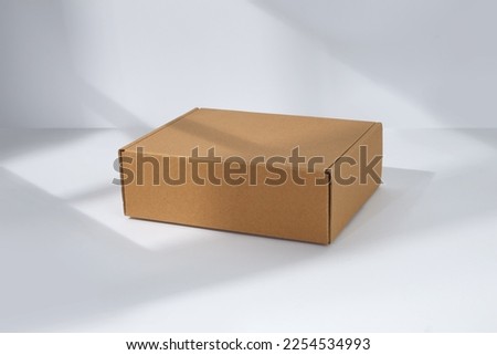 Empty cardboard Box with window shadow