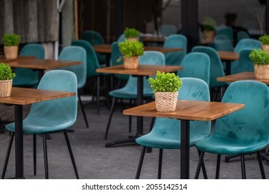 Empty Chairs With Turquoise Velvet Covers And Tables With Plants In Pots. Stylish, Seating In Restaurants, A Café. Without People, Shallow Depth Of Field, Copy Space