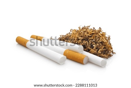 Empty cigarette tubes with yellow filter and handful of dried crushed tobacco leaf for homemade sleeve stuffing isolated on white background 