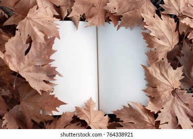 empty clear notebook page brown dry plane leaves around